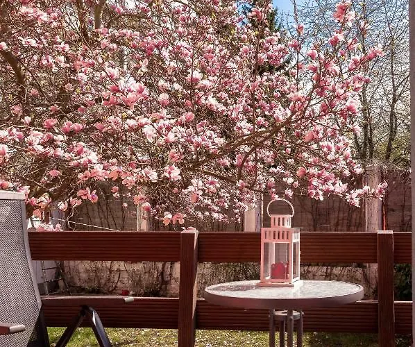 Tarata Haus Διαμέρισμα Halle (Saale)